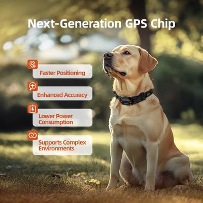 Show full view: Hoistspark F830 GPS Wireless Fence System Dog Training Collar, Medium/Large slide 3 of 10