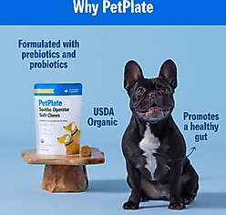 PetPlate Human Grade Soothe Operator Probiotic Digestive Soft Chews Dog Supplement, 28 count slide 2 of 7