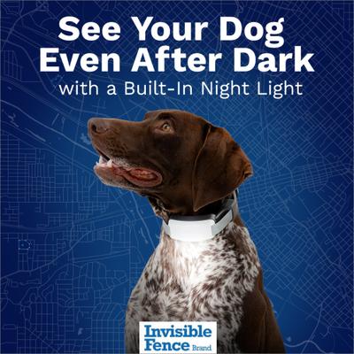 Show full view: Invisible Fence GPS Flex Wireless Dog Fence & GPS Tracker slide 4 of 8