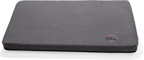 Show full view: Assisi Animal Health Loop Lounge tPEMF Dog & Cat System, Large slide 3 of 4