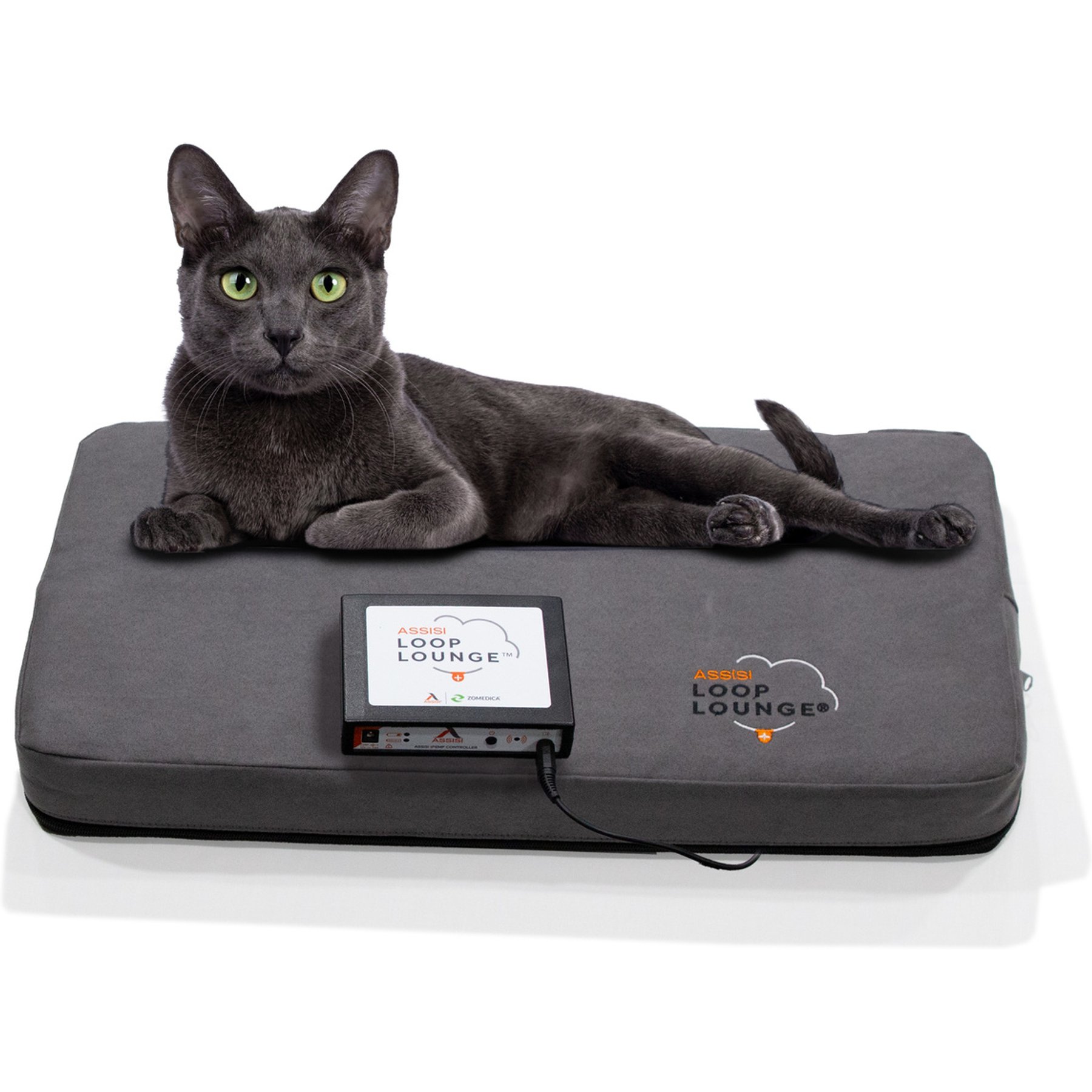 Assisi Animal Health Loop Lounge tPEMF Dog & Cat System, Small