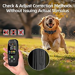 Hoistspark 3-in-1 Remote Dog Training Collar, Black, Medium slide 2 of 9