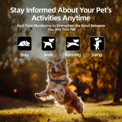 Show full view: Hoistspark 3-in-1 Remote Dog Training Collar, Black, Medium slide 5 of 11