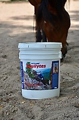 Vetline Equine Equilytes Electrolytes Horse Supplement, 25-lb bucket slide 2 of 6