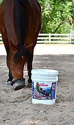 Vetline Equine Equilytes Electrolytes Horse Supplement, 25-lb bucket slide 2 of 9