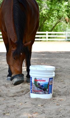 Show full view: Vetline Equine Equilytes Electrolytes Horse Supplement, 25-lb bucket slide 3 of 6