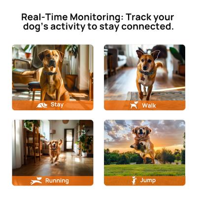 Show full view: Hoistspark 4-in-1 Wireless Fence Remote Dog Training Collar, Green, Medium slide 7 of 11