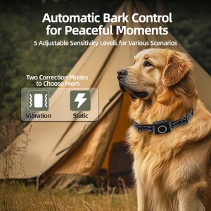 Hoistspark 3-in-1 Remote Dog Training Collar, Black, Medium