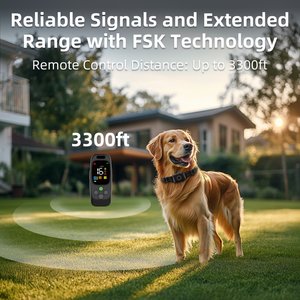 Hoistspark 3-in-1 Remote Dog Training Collar, Black, Medium