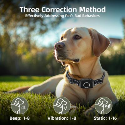 Show full view: Hoistspark 3-in-1 Remote Dog Training Collar, Black, Medium slide 3 of 11