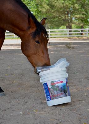 Show full view: Vetline Equine Equilytes Electrolytes Horse Supplement, 25-lb bucket slide 6 of 6