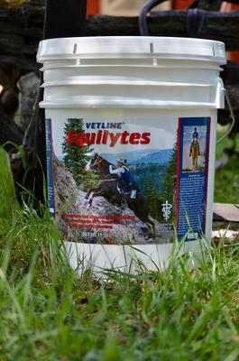 Show full view: Vetline Equine Equilytes Electrolytes Horse Supplement, 25-lb bucket slide 4 of 6
