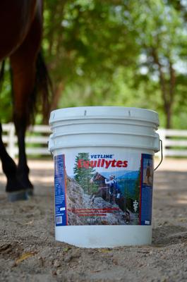 Show full view: Vetline Equine Equilytes Electrolytes Horse Supplement, 25-lb bucket slide 2 of 6