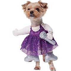 Frisco Front Walking Pop Star Dog Costume, X-Small