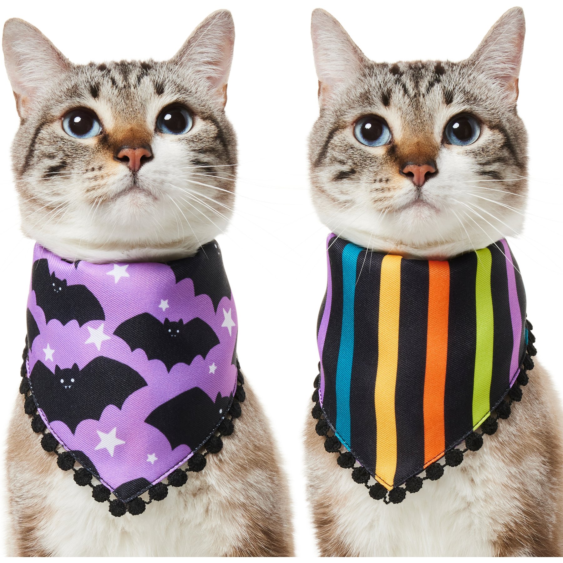 Frisco Reversible Bats & Striped Bandana with Pom-Pom Trim Costume, X-Small/Small