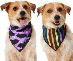 Frisco Reversible Bats & Striped Bandana with Pom-Pom Trim Costume, Medium/Large