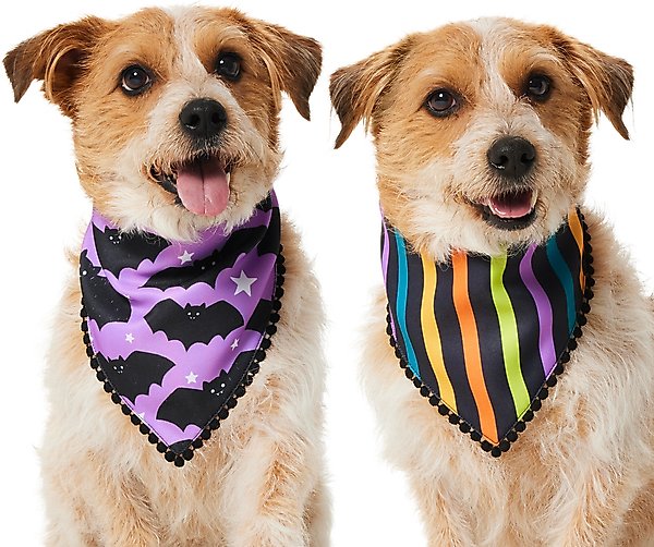 Show full view: Frisco Reversible Bats & Striped Bandana with Pom-Pom Trim Costume, Medium/Large slide 1 of 9