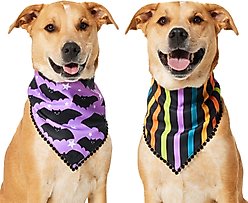 Frisco Reversible Bats & Striped Bandana with Pom-Pom Trim Costume, X-Large/XX-Large