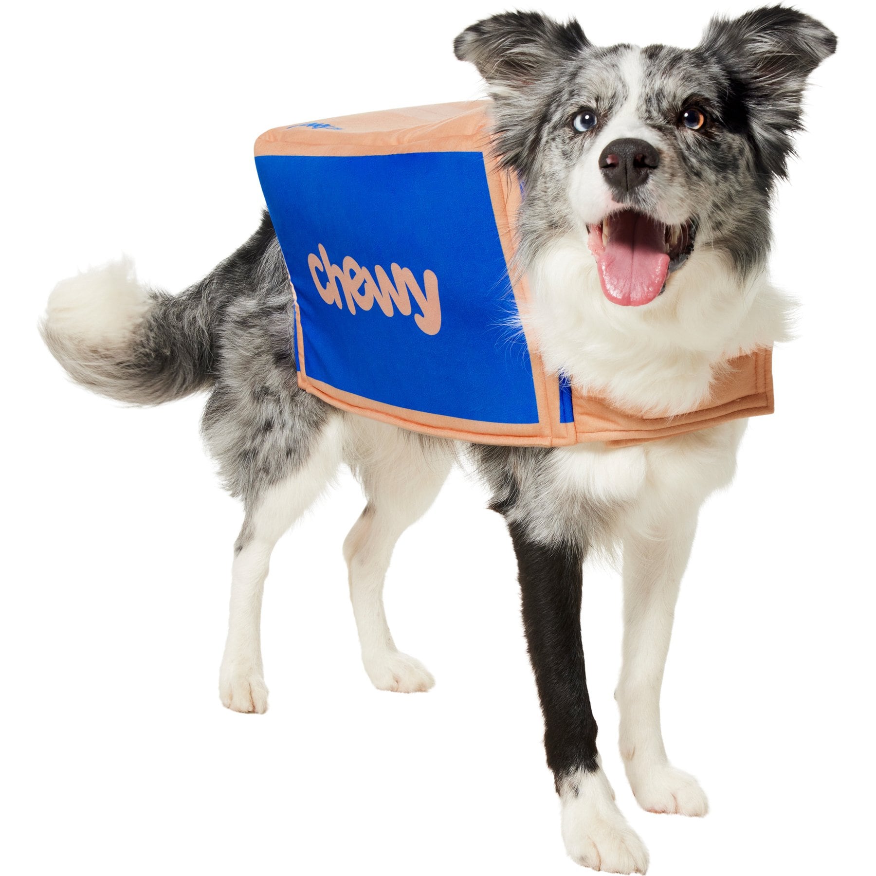 Frisco Chewy Branded Box Dog & Cat Costume, Large