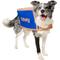 Show in main carousel: Frisco Chewy Branded Box Dog & Cat Costume, Large slide 1 of 10