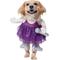 Show in main carousel: Frisco Front Walking Pop Star Dog Costume, Medium slide 1 of 10