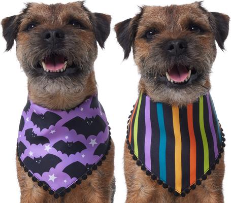 Show full view: Frisco Reversible Bats & Striped Bandana with Pom-Pom Trim Costume, X-Small/Small slide 2 of 10