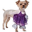 Show in main carousel: Frisco Front Walking Pop Star Dog Costume, X-Small slide 2 of 10