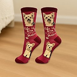 E&S PETS Yorkie Life Is Better Socks, Red, one size slide 2 of 3