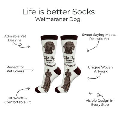 Show full view: E&S PETS Weimaraner Life Is Better Socks, Teal, one size slide 2 of 3
