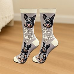 E&S PETS Australian Cattle Dog Life Is Better Socks, Grey, one size slide 2 of 3
