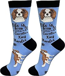 E&S PETS Cavalier King Charles Life Is Better Socks, Light Blue, one size