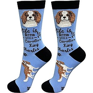 E&S PETS Cavalier King Charles Life Is Better Socks, Light Blue, one size