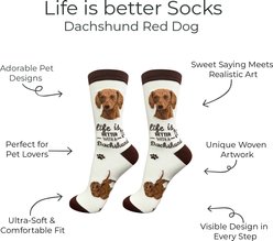 E&S PETS Dachshund Life Is Better Socks, Cream, one size slide 2 of 3