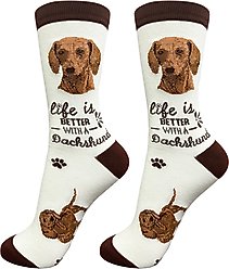 E&S PETS Dachshund Life Is Better Socks, Cream, one size