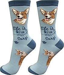 E&S PETS Welsh Corgi Life Is Better Socks, Light Blue, one size