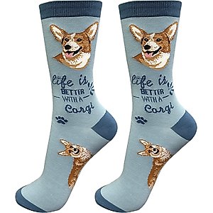 E&S PETS Welsh Corgi Life Is Better Socks, Light Blue, one size