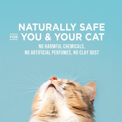 World's Best Poop Fighter Maximum Odor Defense Scented Clumping Cat Litter