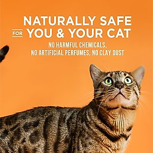World's Best Low Tracking & Dust Control Multiple Cat Litter, 28-lb