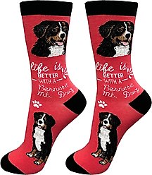 E&S PETS Bernese Mt. Dog Life Is Better Socks, Red, one size