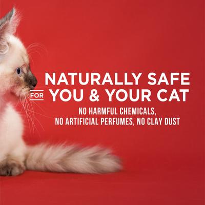 Show full view: World's Best Multi-Cat Unscented Clumping Corn Cat Litter, 8-lb bag slide 9 of 12