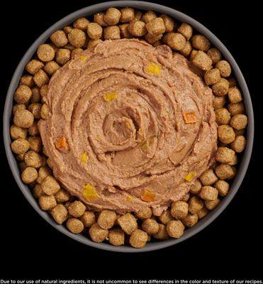 Show full view: Go! Solutions Booster Digestive Health Tuna & Salmon Pate Wet Cat Food, 2.5-oz pouch, 12 count slide 6 of 11