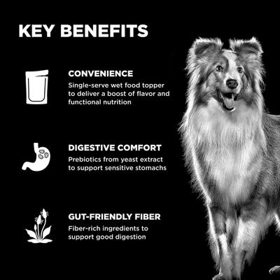 Show full view: Go! Solutions Booster Digestive Health Chicken & Duck Pate Wet Dog Food, 2.8-oz pouch, 12 count slide 5 of 11