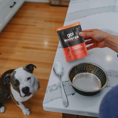 Show full view: Go! Solutions Booster Digestive Health Chicken & Lamb Stew Wet Dog Food, 2.8-oz pouch, 12 count slide 8 of 11