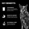 Show in main carousel: Go! Solutions Booster Digestive Health Chicken & Lamb Stew Wet Dog Food, 2.8-oz pouch, 12 count slide 5 of 11