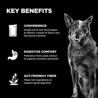 Show full view: Go! Solutions Booster Digestive Health Chicken & Lamb Stew Wet Dog Food, 2.8-oz pouch, 12 count slide 5 of 11