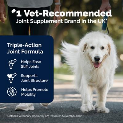 Show full view: Vetnique Labs YuMOVE Chewable Tablet Senior Hip & Joint Maximum Strength Supplement for Dogs, 120 count slide 4 of 10