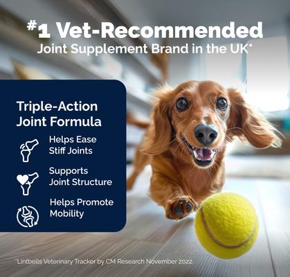 Show full view: Vetnique Labs YuMOVE Plus Chewable Tablet Extra Strength Joint Supplement for Dogs, 240 count slide 4 of 11