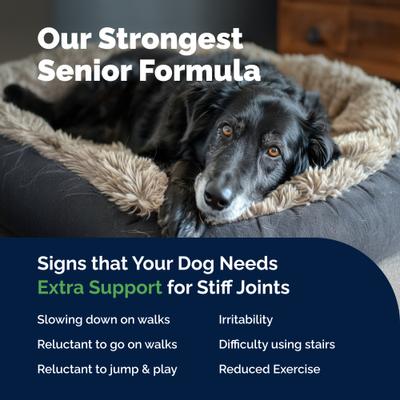 Show full view: Vetnique Labs YuMOVE Chewable Tablet Senior Hip & Joint Maximum Strength Supplement for Dogs, 120 count slide 8 of 10