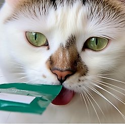 Glad Tidings Snowy's Seafood with Wild-Caught Tuna & Scallop Human-Grade Lickable Cat Treats, 6.76-oz pouch, 16 count slide 2 of 9