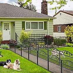 BingoPaw Metal 5-Panel Dog Fence Exercise Playpen, Black